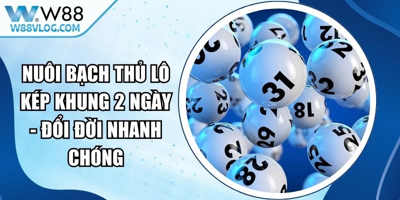 Nuôi Bạch Thủ Lô Kép Khung 2 Ngày