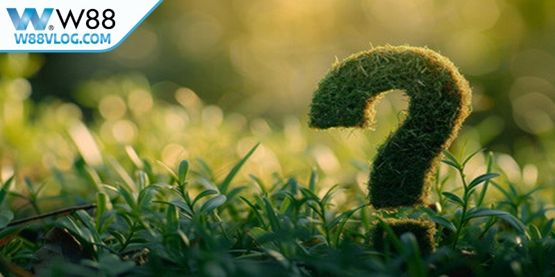 Chính Sách Bảo Mật W88 Thiết Lập An Toàn Dữ Liệu 4 Câu hỏi thường gặp về chính sách bảo mật W88