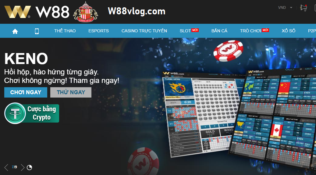 Câu hỏi thường gặp về sân chơi w88